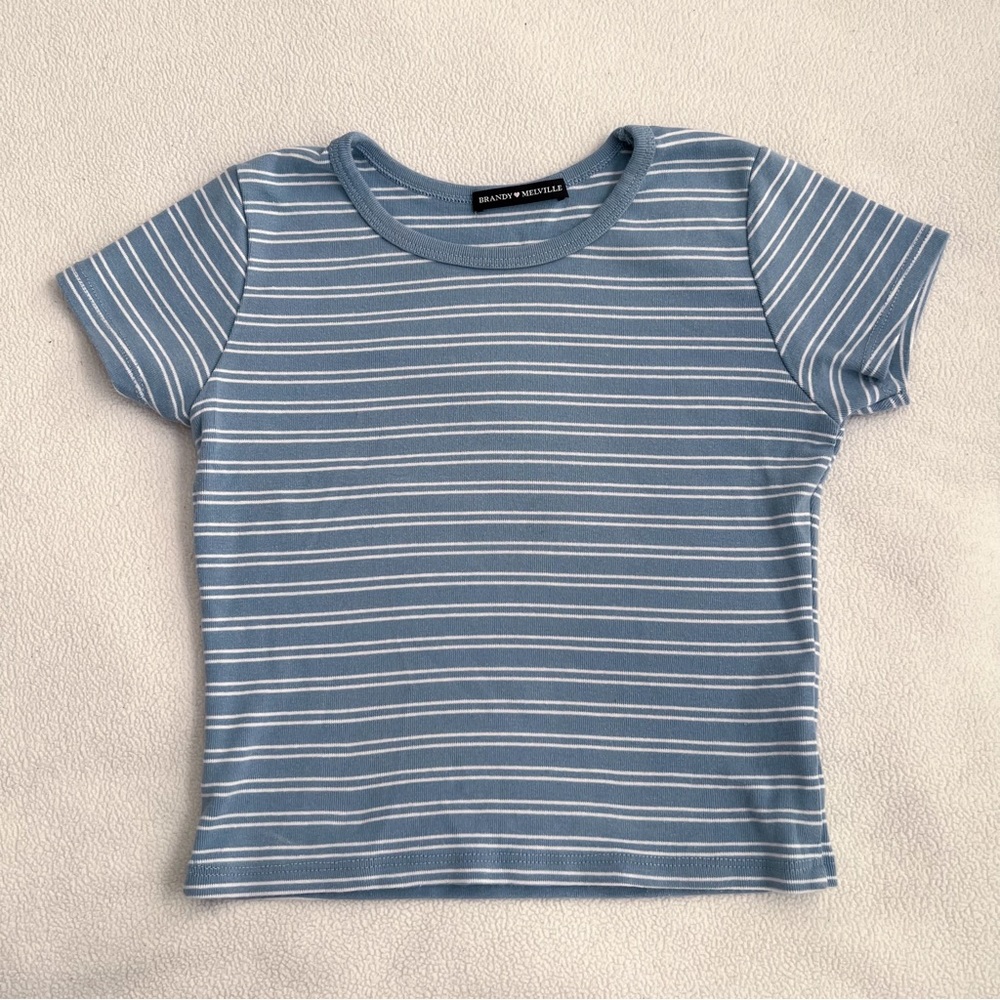 Brandy Melville Blue Striped Crop Top